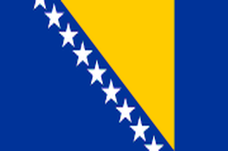 Bosnia and Herzegovina flag